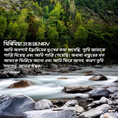 Picture 02 - যিৰিমিয়া 31:18 BENIRV - আমি অবশ্যই - Bible Verse Picture