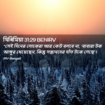 Picture 02 - যিৰিমিয়া 31:29 BENIRV - “সেই দিনের লোকেরা - Bible Verse Picture