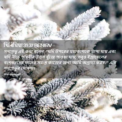 Picture 02 - যিৰিমিয়া 31:37 BENIRV - সদাপ্রভু এই কথা - Bible Verse Picture