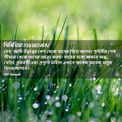 Picture 02 - যিৰিমিয়া 31:8 BENIRV - দেখ, আমি উত্তরের - Bible Verse Picture