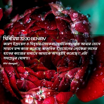 Picture 02 - যিৰিমিয়া 32:30 BENIRV - কারণ ইস্রায়েল ও - Bible Verse Picture