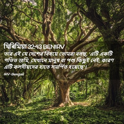 Picture 02 - যিৰিমিয়া 32:43 BENIRV - তার এই যে দেশের - Bible Verse Picture