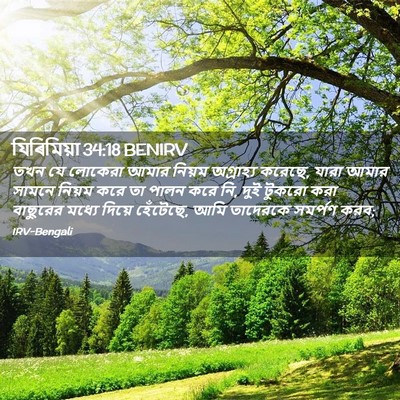 Picture 02 - যিৰিমিয়া 34:18 BENIRV - তখন যে লোকেরা আমার - Bible Verse Picture