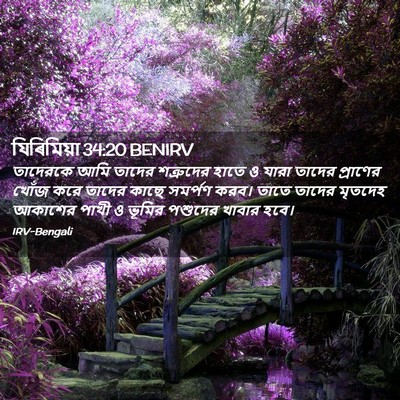 Picture 02 - যিৰিমিয়া 34:20 BENIRV - তাদেরকে আমি তাদের - Bible Verse Picture