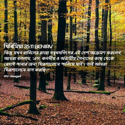 Picture 02 - যিৰিমিয়া 35:11 BENIRV - কিন্তু যখন - Bible Verse Picture