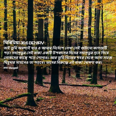 Picture 02 - যিৰিমিয়া 36:6 BENIRV - তাই তুমি অবশ্যই - Bible Verse Picture