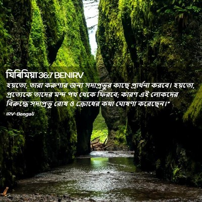 Picture 02 - যিৰিমিয়া 36:7 BENIRV - হয়তো, তারা করুণার - Bible Verse Picture