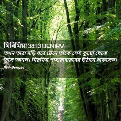 Picture 02 - যিৰিমিয়া 38:13 BENIRV - তখন তারা দড়ি ধরে - Bible Verse Picture
