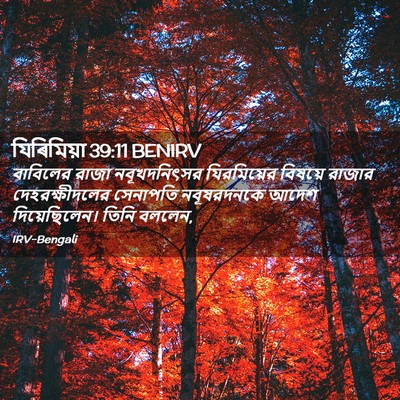 Picture 02 - যিৰিমিয়া 39:11 BENIRV - বাবিলের রাজা - Bible Verse Picture