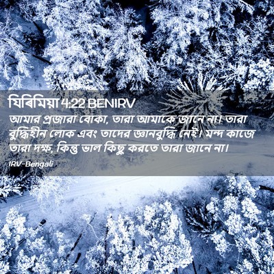 Picture 02 - যিৰিমিয়া 4:22 BENIRV - আমার প্রজারা বোকা, - Bible Verse Picture