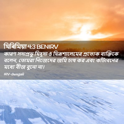 Picture 02 - যিৰিমিয়া 4:3 BENIRV - কারণ সদাপ্রভু - Bible Verse Picture