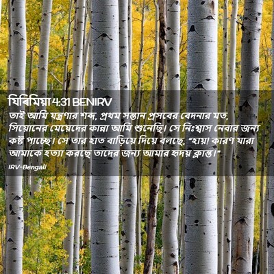 Picture 02 - যিৰিমিয়া 4:31 BENIRV - তাই আমি যন্ত্রণার - Bible Verse Picture
