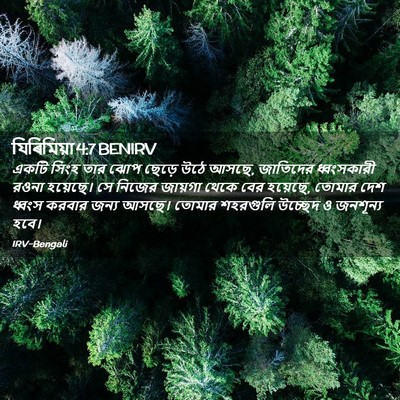 Picture 02 - যিৰিমিয়া 4:7 BENIRV - একটি সিংহ তার ঝোপ - Bible Verse Picture