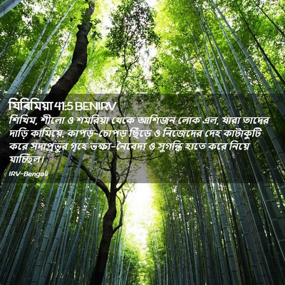 Picture 02 - যিৰিমিয়া 41:5 BENIRV - শিখিম, শীলো ও - Bible Verse Picture