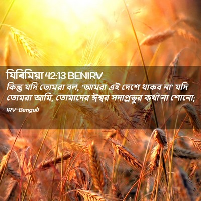 Picture 02 - যিৰিমিয়া 42:13 BENIRV - কিন্তু যদি তোমরা - Bible Verse Picture