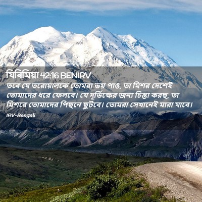 Picture 02 - যিৰিমিয়া 42:16 BENIRV - তবে যে তরোয়ালকে - Bible Verse Picture