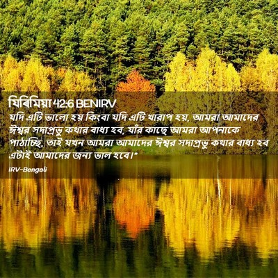 Picture 02 - যিৰিমিয়া 42:6 BENIRV - যদি এটি ভালো হয় - Bible Verse Picture