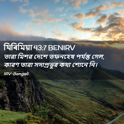 Picture 02 - যিৰিমিয়া 43:7 BENIRV - তারা মিশর দেশে - Bible Verse Picture