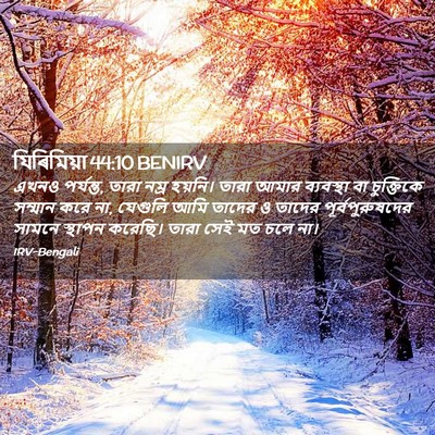 Picture 02 - যিৰিমিয়া 44:10 BENIRV - এখনও পর্যন্ত, তারা - Bible Verse Picture