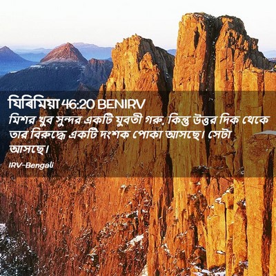 Picture 02 - যিৰিমিয়া 46:20 BENIRV - মিশর খুব সুন্দর - Bible Verse Picture