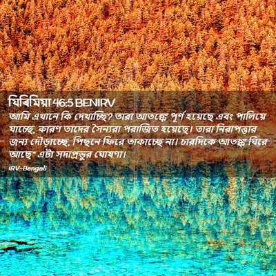 Picture 02 - যিৰিমিয়া 46:5 BENIRV - আমি এখানে কি - Bible Verse Picture