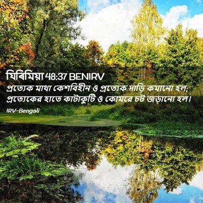 Picture 02 - যিৰিমিয়া 48:37 BENIRV - প্রত্যেক মাথা - Bible Verse Picture