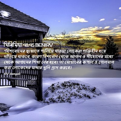 Picture 02 - যিৰিমিয়া 48:45 BENIRV - “হিশবোনের ছায়াতে - Bible Verse Picture