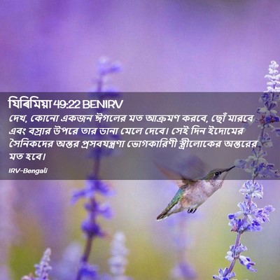 Picture 02 - যিৰিমিয়া 49:22 BENIRV - দেখ, কোনো একজন - Bible Verse Picture