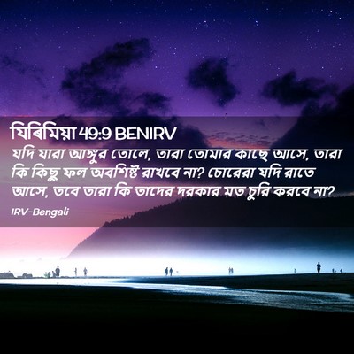 Picture 02 - যিৰিমিয়া 49:9 BENIRV - যদি যারা আঙ্গুর - Bible Verse Picture