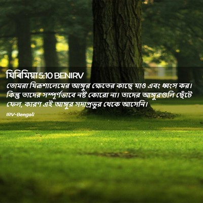 Picture 02 - যিৰিমিয়া 5:10 BENIRV - তোমরা যিরূশালেমের - Bible Verse Picture