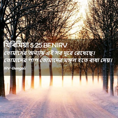Picture 02 - যিৰিমিয়া 5:25 BENIRV - তোমাদের অন্যায় - Bible Verse Picture