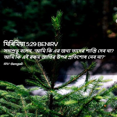 Picture 02 - যিৰিমিয়া 5:29 BENIRV - সদাপ্রভু বলেন, - Bible Verse Picture