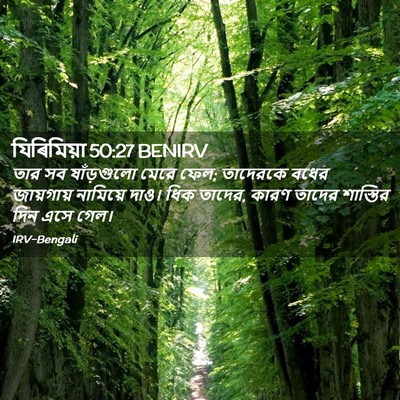 Picture 02 - যিৰিমিয়া 50:27 BENIRV - তার সব ষাঁড়গুলো - Bible Verse Picture