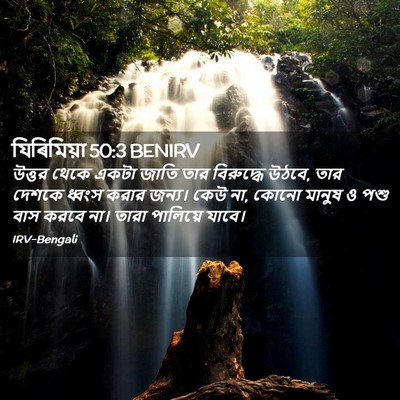 Picture 02 - যিৰিমিয়া 50:3 BENIRV - উত্তর থেকে একটা - Bible Verse Picture