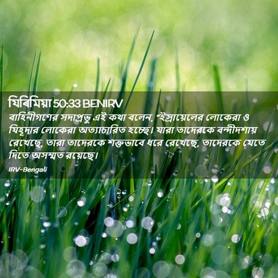 Picture 02 - যিৰিমিয়া 50:33 BENIRV - বাহিনীগণের - Bible Verse Picture