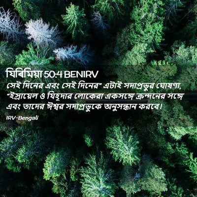 Picture 02 - যিৰিমিয়া 50:4 BENIRV - সেই দিনের এবং সেই - Bible Verse Picture