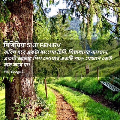 Picture 02 - যিৰিমিয়া 51:37 BENIRV - বাবিল হবে একটা - Bible Verse Picture