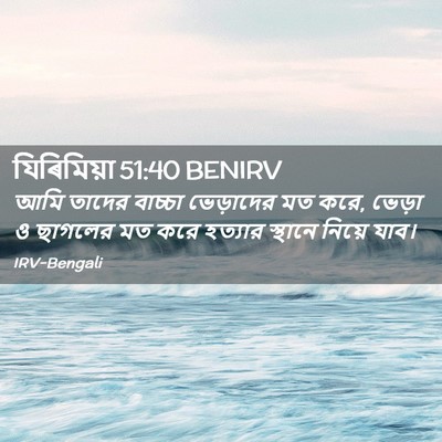 Picture 02 - যিৰিমিয়া 51:40 BENIRV - আমি তাদের বাচ্চা - Bible Verse Picture