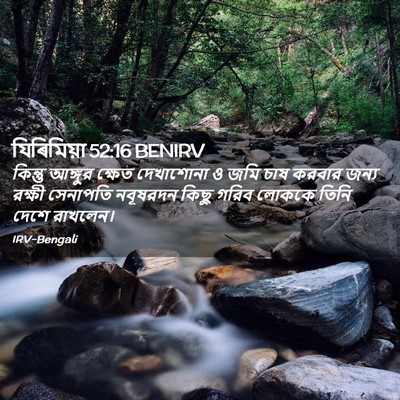 Picture 02 - যিৰিমিয়া 52:16 BENIRV - কিন্তু আঙ্গুর - Bible Verse Picture
