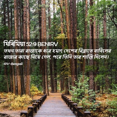 Picture 02 - যিৰিমিয়া 52:9 BENIRV - তখন তারা রাজাকে - Bible Verse Picture
