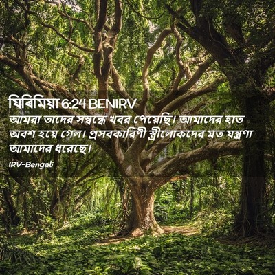 Picture 02 - যিৰিমিয়া 6:24 BENIRV - আমরা তাদের - Bible Verse Picture