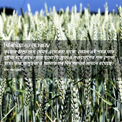 Picture 02 - যিৰিমিয়া 6:7 BENIRV - কূয়োর ঠান্ডা জল - Bible Verse Picture