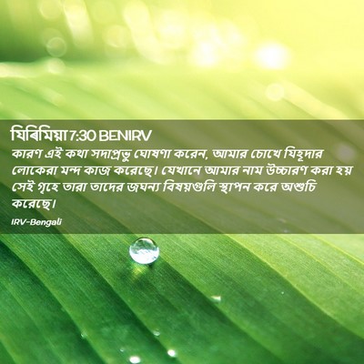 Picture 02 - যিৰিমিয়া 7:30 BENIRV - কারণ এই কথা - Bible Verse Picture