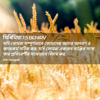 Picture 02 - যিৰিমিয়া 7:5 BENIRV - যদি তোমরা - Bible Verse Picture