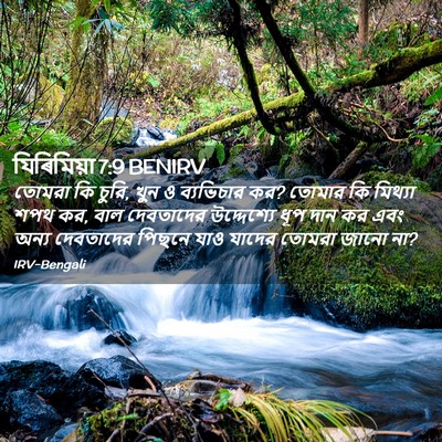 Picture 02 - যিৰিমিয়া 7:9 BENIRV - তোমরা কি চুরি, খুন - Bible Verse Picture