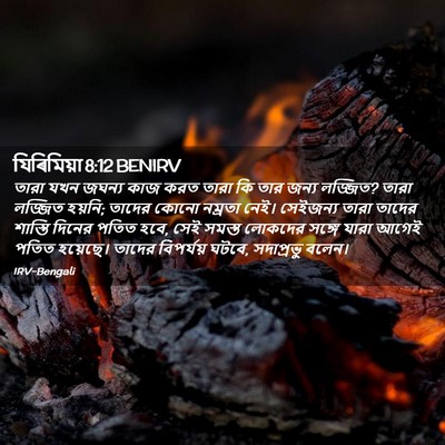 Picture 02 - যিৰিমিয়া 8:12 BENIRV - তারা যখন জঘন্য কাজ - Bible Verse Picture