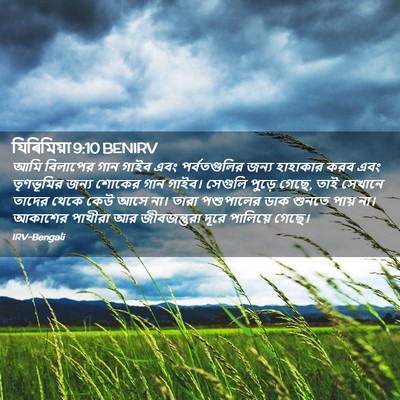 Picture 02 - যিৰিমিয়া 9:10 BENIRV - আমি বিলাপের গান - Bible Verse Picture