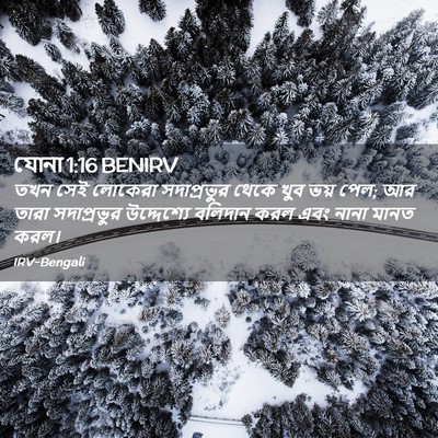 Picture 02 - যোনা 1:16 BENIRV - তখন সেই লোকেরা - Bible Verse Picture