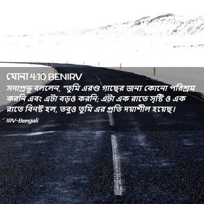 Picture 02 - যোনা 4:10 BENIRV - সদাপ্রভু বললেন, - Bible Verse Picture