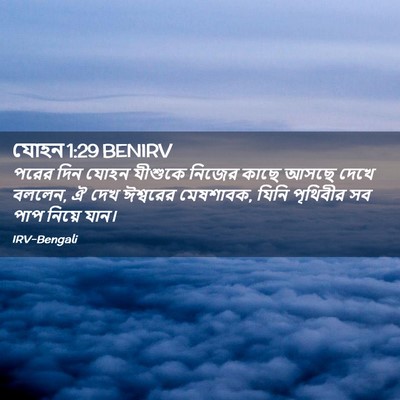Picture 02 - যোহন 1:29 BENIRV - পরের দিন যোহন - Bible Verse Picture